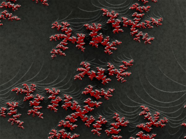 Fleurs rouge Red flowers by Createm